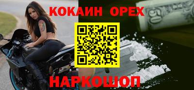 шишки Бийск