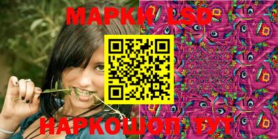 шишки Бийск