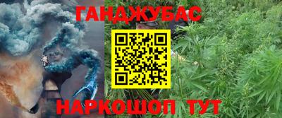 шишки Бийск