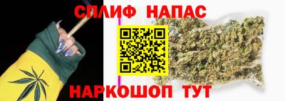 СК Заводоуковск
