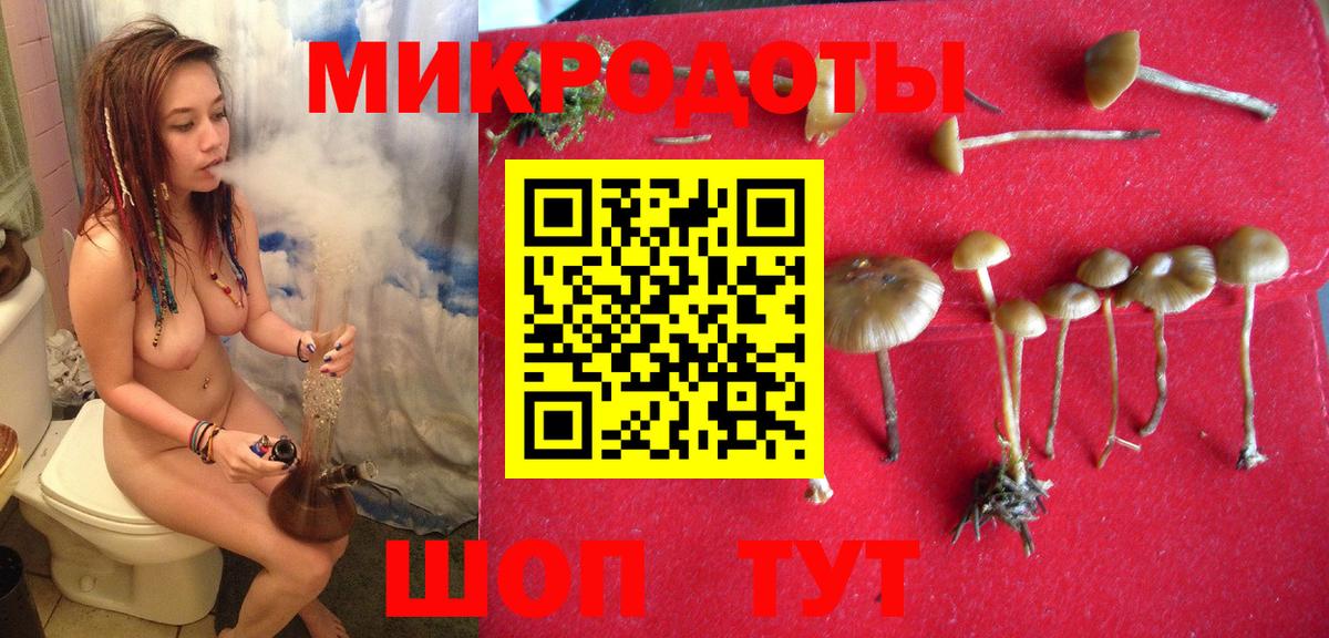 Сарапул  как найти закладки  Вход с VPN  Галлюциногенные грибы мицелий 